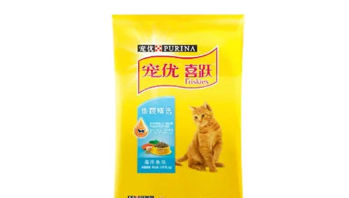 猫居家喂食要注意什么？ | 宠物百科知识