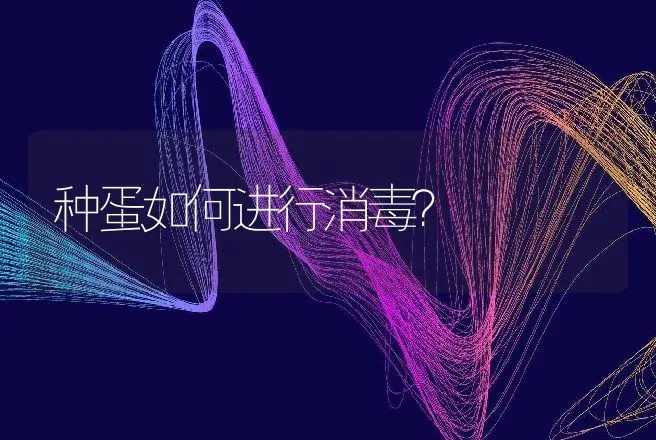 种蛋如何进行消毒？ | 家禽养殖