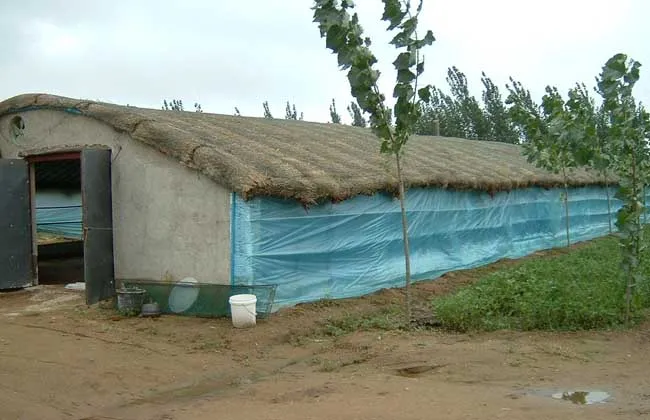 养鸡场鸡舍建设方案 | 养殖技术大全