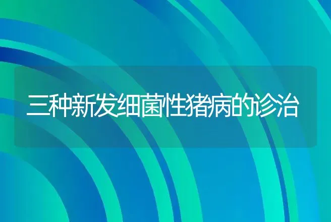 如何让狗狗远离细小病 | 动物养殖