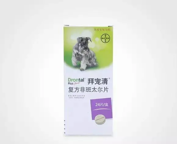 警报，你家的狗狗需要立刻驱虫！ | 宠物狗病虫害防治