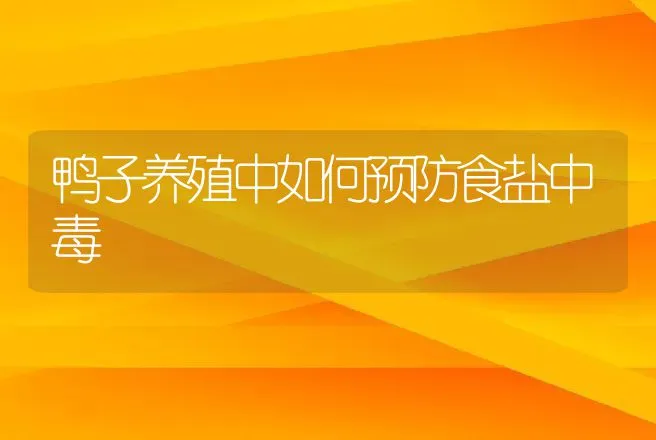 鸭子养殖中如何预防食盐中毒 | 家禽养殖