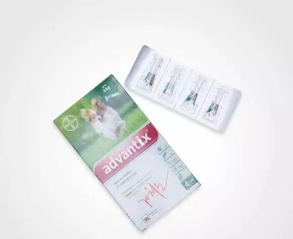 警报，你家的狗狗需要立刻驱虫！ | 宠物狗病虫害防治