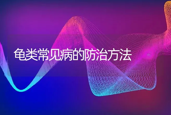 龟类常见病的防治方法 | 动物养殖