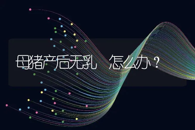 母猪产后无乳 怎么办？ | 兽医知识大全