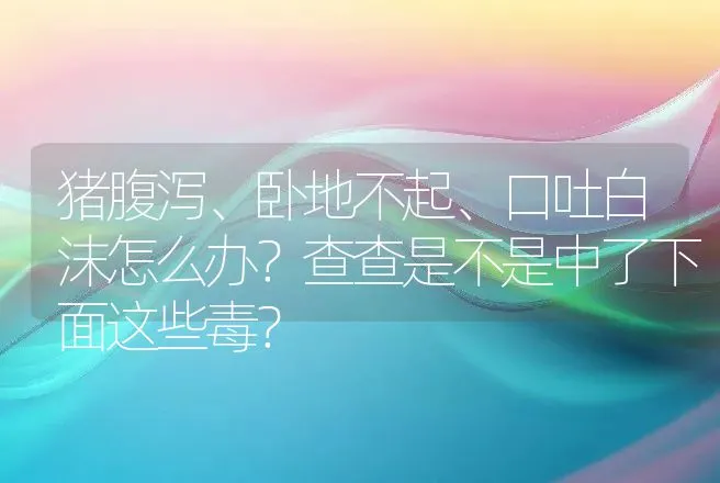 猪腹泻、卧地不起、口吐白沫怎么办？查查是不是中了下面这些毒？ | 家畜养殖