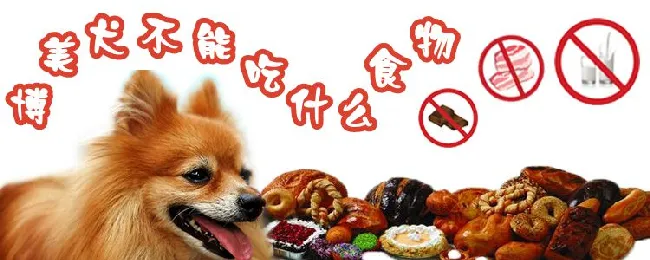 博美犬不能吃什么食物 | 宠物病虫害防治