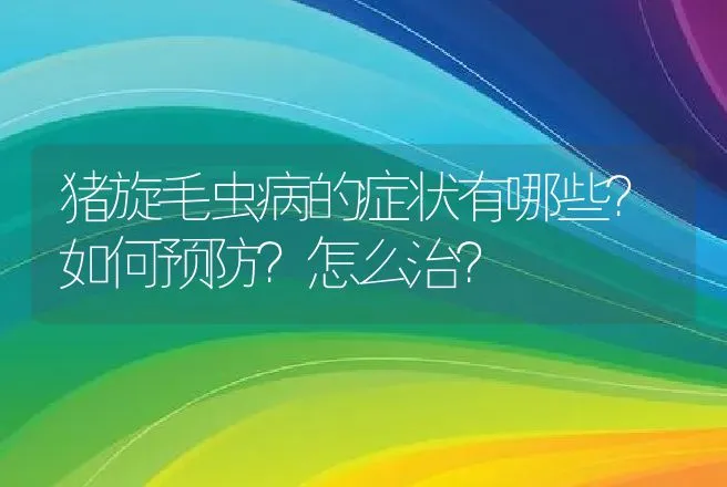 猪旋毛虫病的症状有哪些？如何预防？怎么治？ | 家畜养殖