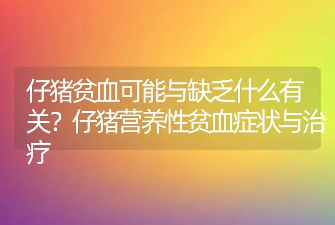 仔猪贫血可能与缺乏什么有关？仔猪营养性贫血症状与治疗 | 兽医知识大全