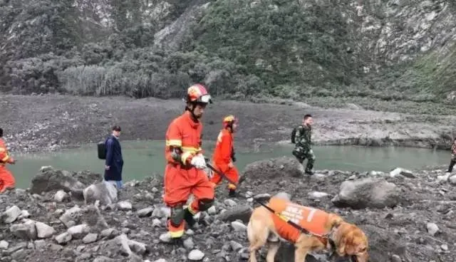 四川茂县山体垮塌事件现场 一线的消防人员和搜救犬辛苦了 | 宠物新闻资讯