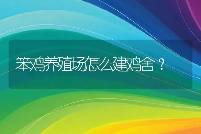 笨鸡养殖场怎么建鸡舍？ | 兽医知识大全