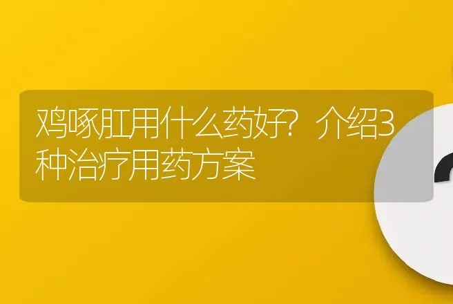 鸡啄肛用什么药好?介绍3种治疗用药方案 | 兽医知识大全