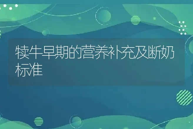 犊牛早期的营养补充及断奶标准 | 家畜养殖