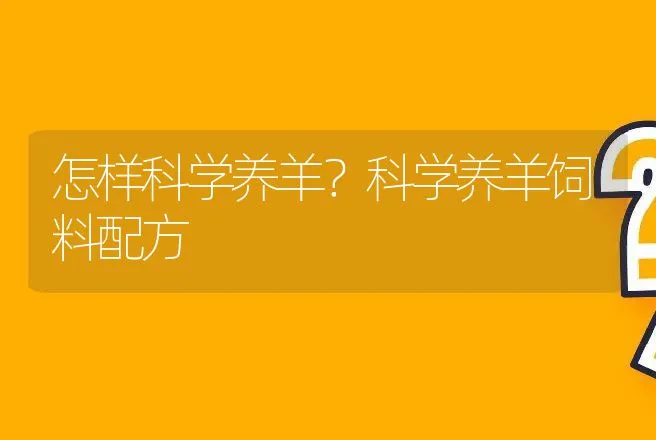 怎样科学养羊？科学养羊饲料配方 | 家畜养殖