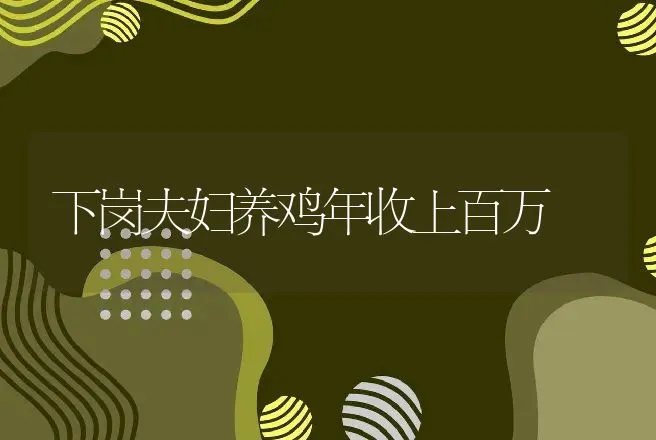 下岗夫妇养鸡年收上百万 | 养殖致富