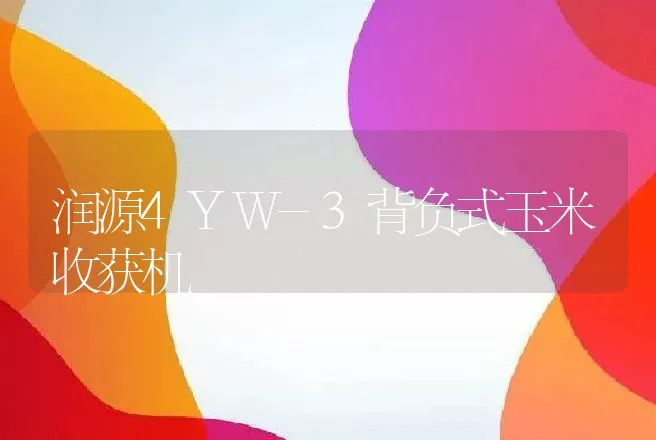 润源4YW-3背负式玉米收获机 | 养殖