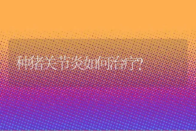 种猪关节炎如何治疗？ | 兽医知识大全