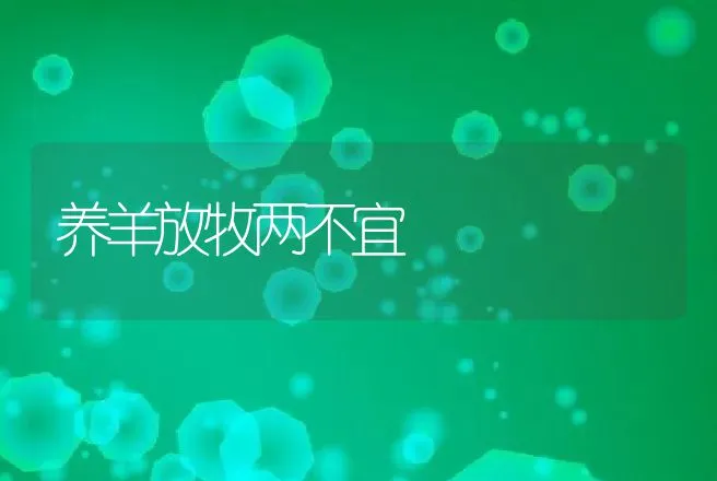 养羊放牧两不宜 | 家畜养殖