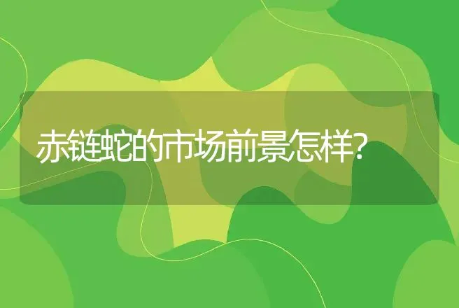 赤链蛇的市场前景怎样？ | 动物养殖