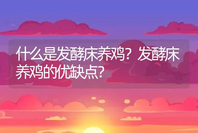 什么是发酵床养鸡？发酵床养鸡的优缺点？ | 家禽养殖