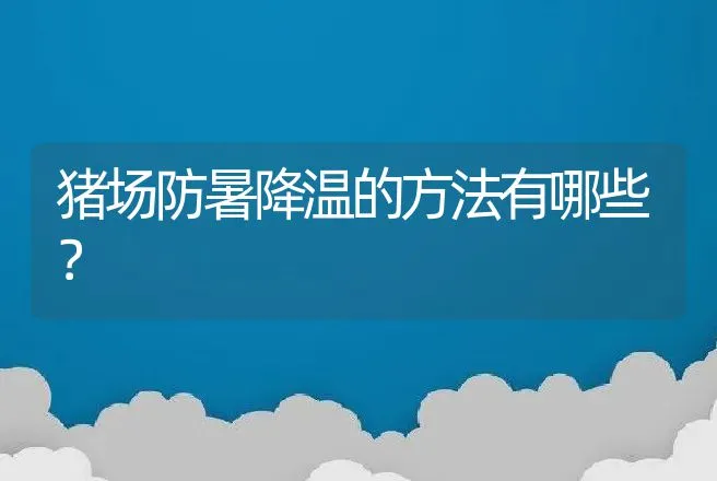 猪场防暑降温的方法有哪些？ | 家畜养殖