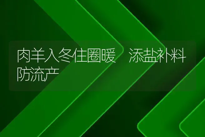 肉羊入冬住圈暖 添盐补料防流产 | 动物养殖