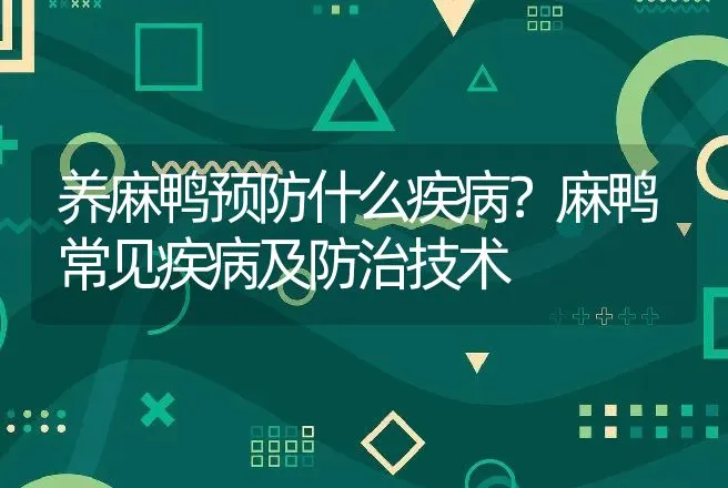 养麻鸭预防什么疾病？麻鸭常见疾病及防治技术 | 兽医知识大全