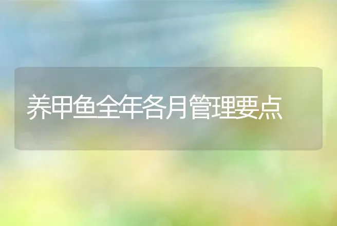 养甲鱼全年各月管理要点 | 动物养殖