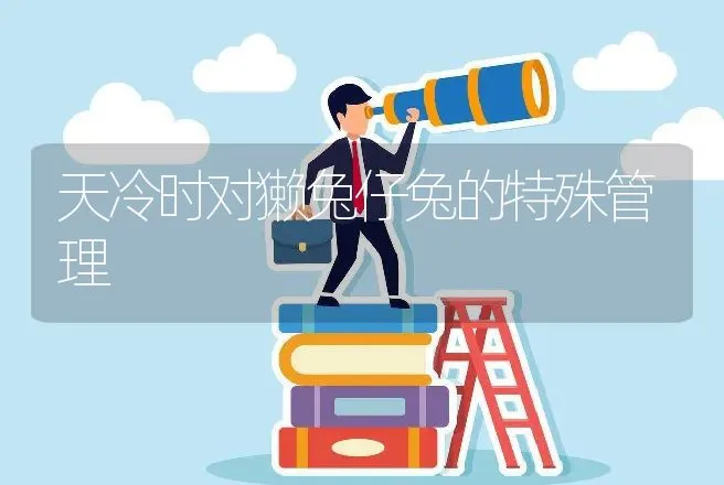 天冷时对獭兔仔兔的特殊管理 | 动物养殖