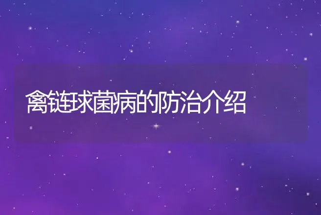 禽链球菌病的防治介绍 | 兽医知识大全