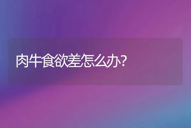 肉牛食欲差怎么办？ | 家畜养殖