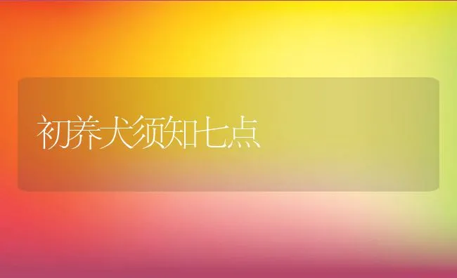 初养犬须知七点 | 宠物病虫害