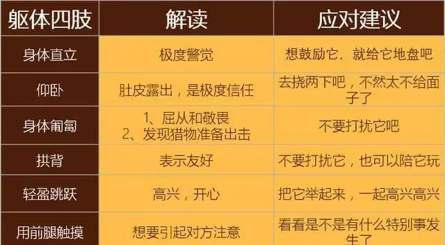 学会狗语言，读懂你的狗——狗狗的喜怒哀乐不用猜 | 宠物狗饲养