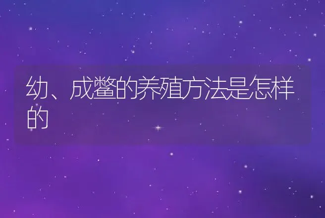 幼、成鳖的养殖方法是怎样的 | 动物养殖