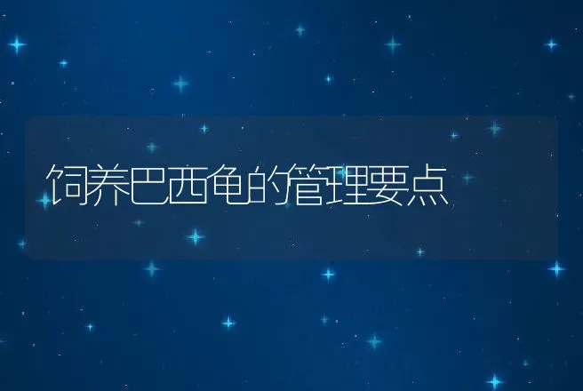 饲养巴西龟的管理要点 | 动物养殖