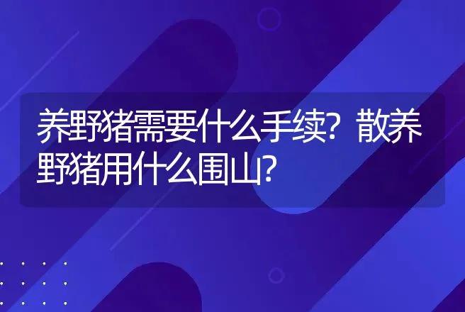 养野猪需要什么手续？散养野猪用什么围山？ | 家畜养殖