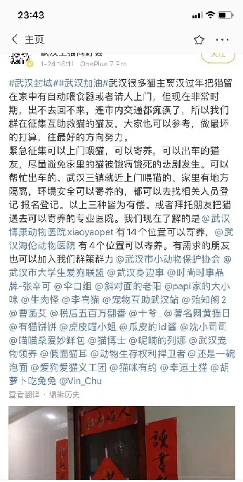 疫情期间留守宠物吃不上饭，武汉互助采取了这样的措施！ | 宠物新闻资讯