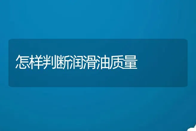 怎样判断润滑油质量 | 养殖