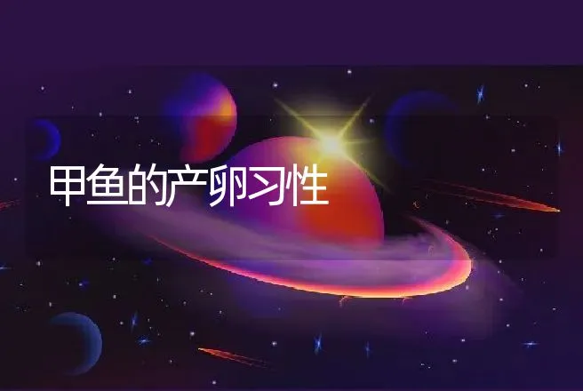 甲鱼的产卵习性 | 动物养殖