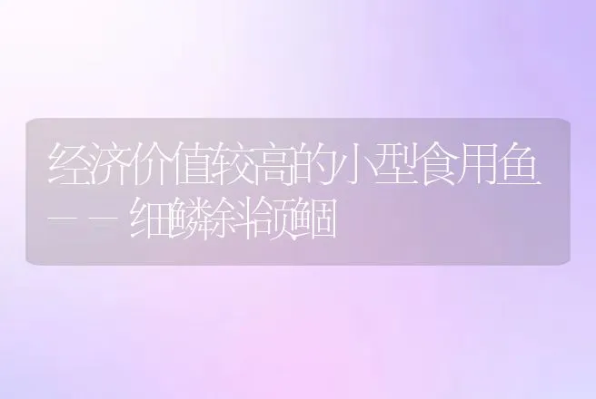 鹌鹑黄白痢的治疗新方法 | 动物养殖