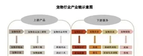 安安宠医专家委员会正式成立 助力行业发展 | 宠物新闻资讯