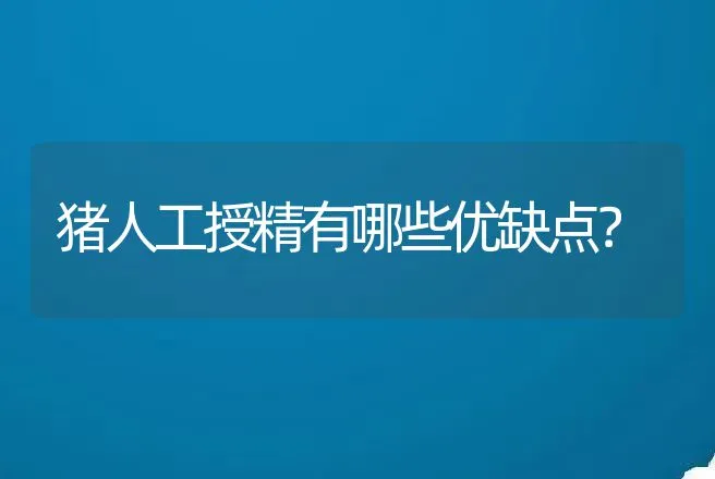 猪人工授精有哪些优缺点？ | 动物养殖