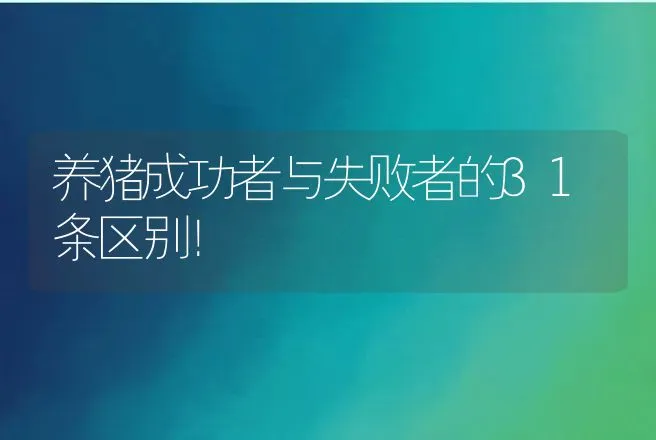 养猪成功者与失败者的31条区别！ | 家畜养殖