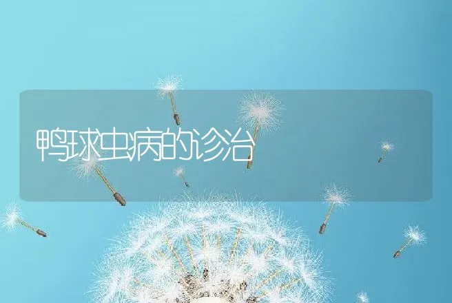 鸭球虫病的诊治 | 动物养殖