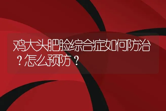 鸡大头肥脸综合症如何防治？怎么预防？ | 兽医知识大全