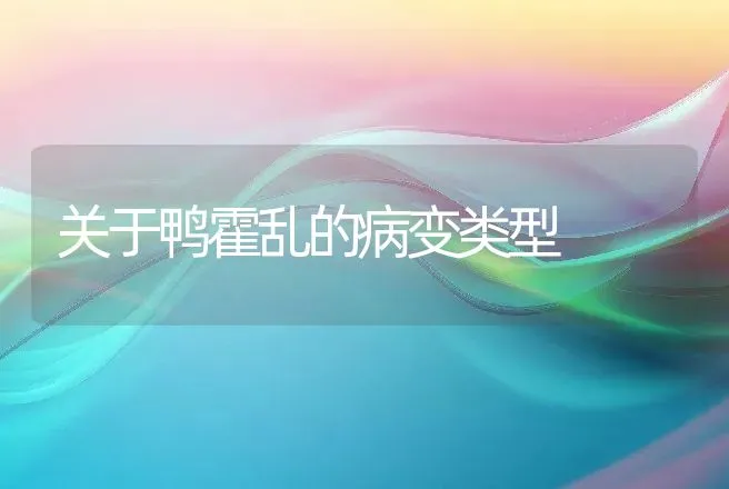 关于鸭霍乱的病变类型 | 动物养殖