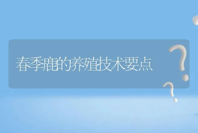 春季鹿的养殖技术要点 | 动物养殖