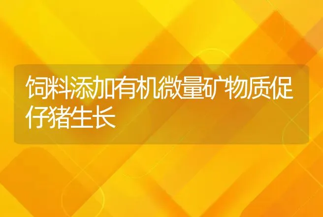 饲料添加有机微量矿物质促仔猪生长 | 动物养殖