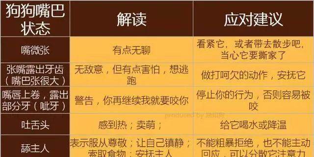 学会狗语言，读懂你的狗——狗狗的喜怒哀乐不用猜 | 宠物狗饲养