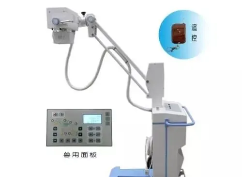 【专业知识】动物医院CT.核磁.X光.B超临床检查分工各不同 | 宠物狗病虫害防治